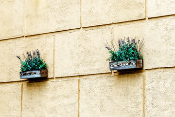 Flowers in pots on the wall of the house
