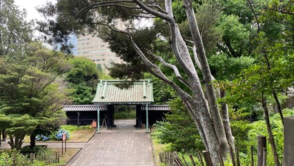 The steps and the entrance gate of Yushima shrine established in the 17th century, the...