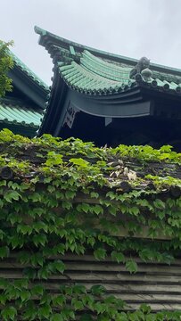 Beautiful aging of historic landmark “Yushima Seido” established in 1690 as Confucius temple by Tokugawa Shogunate, the architecture rebuilt in 1935 by Chuta Ito.  Shot taken on year 2022 June 14th