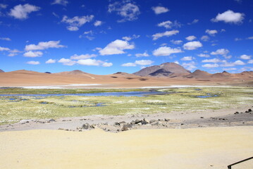 Fototapeta na wymiar Panoramic view over the Atacama desert near Salar de Tara in Chile