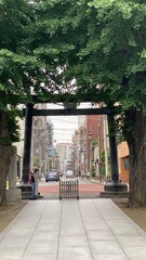 The silhouette of Japanese shrine gate “Torii” at historic landmark “Yushima Tenmangu” central downtown, celebrated enshrinement established in year 458, still loved to this day. Photo taken 2022/6/14
