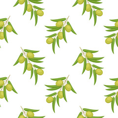 Seamless pattern with green olives on branch. Vector illustration