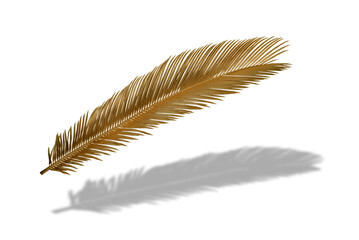 leaves of palm Gold color tree on white background.