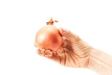 Hand of a woman holding a tasty onion