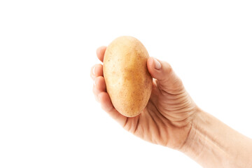 Hand of a woman holding a potato