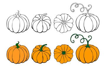 Set of Pumpkin icon isolated on white background. Outline doodle and color. Symbol autumn, crop, fruitful year. Hand drawn vector EPS10 illustration