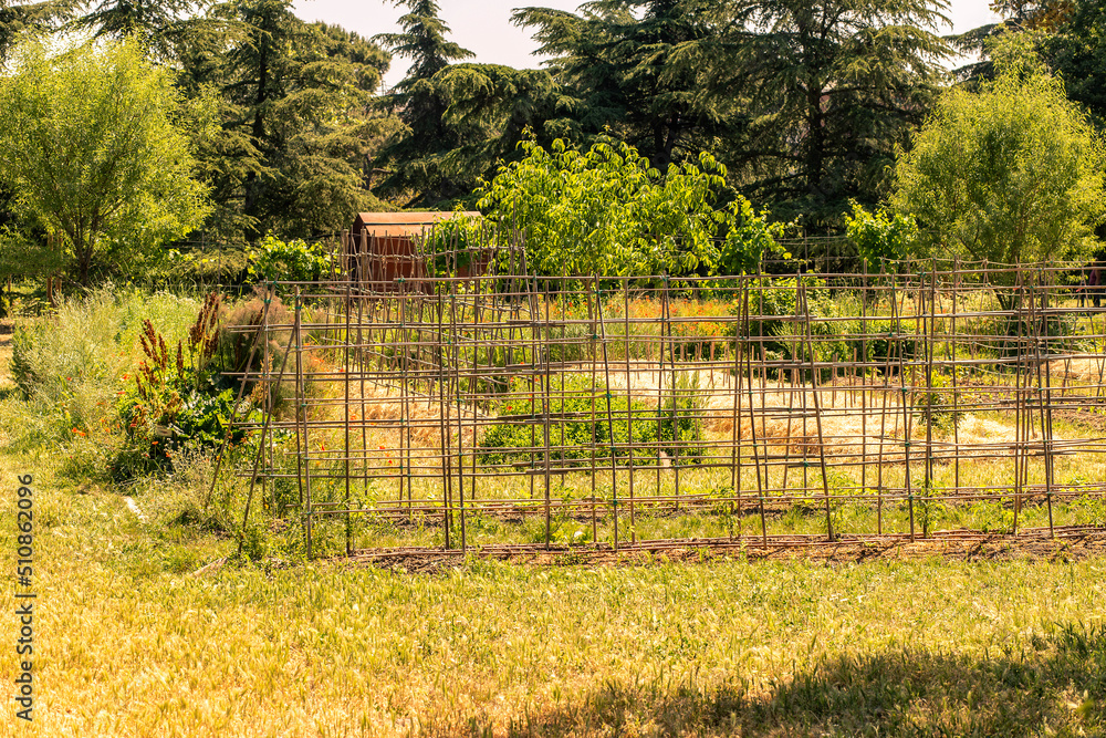 Wall mural plant nursery in a park. green landscape