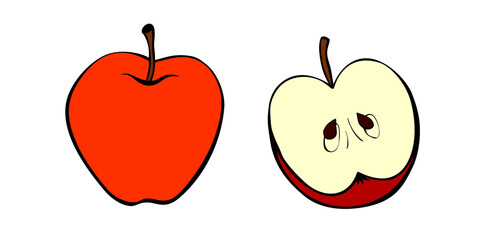 Vector color drawing of whole and cut in half apple in doodle flat style. Hand-drawn isolated fruit. Clip art, symbol of harvest, summer, autumn, garden, healthy food, school snack