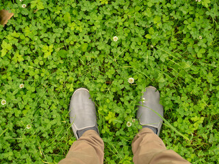 Feet on the field with clover.