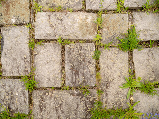 Paving slabs on the square.