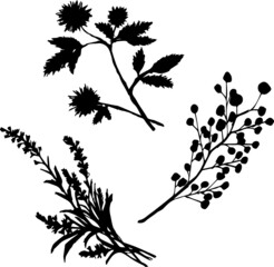 Vector image of flower branches