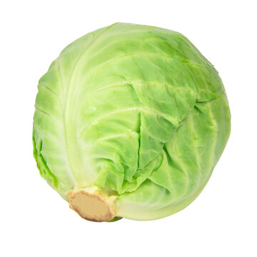 Green natural cabbage head isolated on the white background