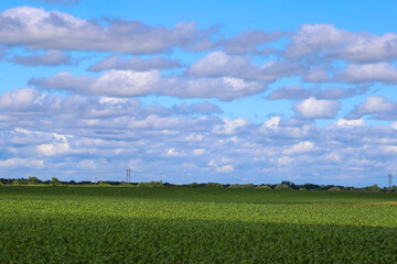 Farmland Landscape