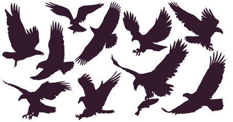 Eagles. Bird king set. 10 silhouettes of eagles. An attacking eagle flying in the sky with a large wingspan.