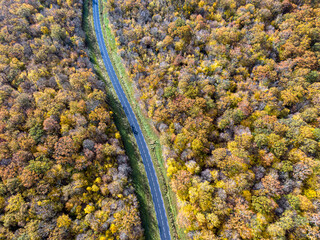 Forest road with white car during Autumn. Aerial view road crossing a yellow and gold deciduous trees forest, Autumn