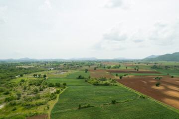 field background, top view landscape, nature