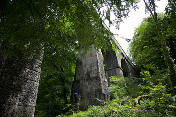 Treffry Viaduct 19th century industrial remains and World Heritage Site The Luxulyan Valley or Glynn Gwernan meaning alder tree valley River Par  Cornwall England UK 