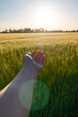 Hand receiving rays of light in a wheat field