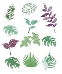 tropical leafs