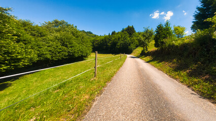 road in the forest
