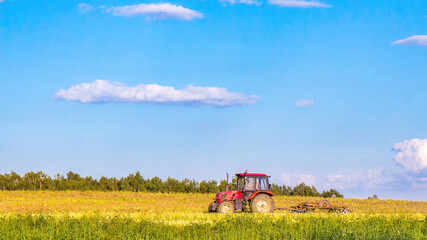 Fototapeta premium A red tractor plows a field on a summer day. Working day in agriculture