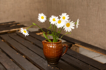 The first summer daisies. Beautiful bunch of spring flowers