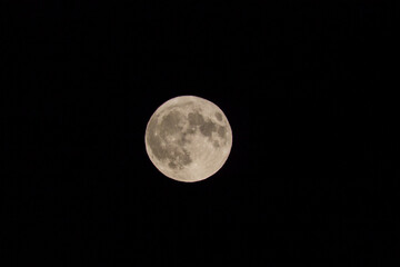 Close up of supermoon with visible craters on its surface on black night sky background with copy space	