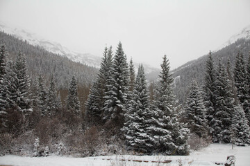 Snow covered mountains