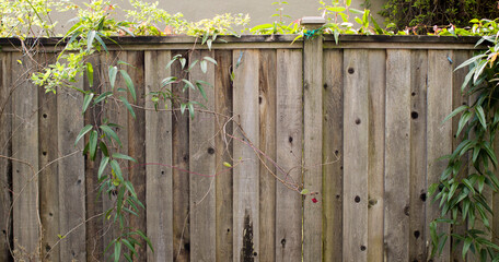 Wooden fence with branches draping down.