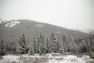 Snow covered mountains