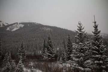 Snow covered mountains