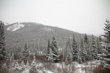 Snow covered mountains