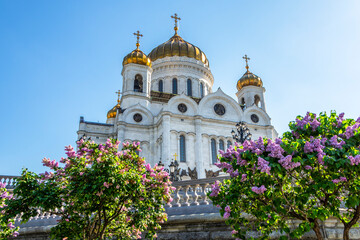 Fototapeta na wymiar Spring Moscow. Cathedral of Christ the Saviour in Moscow city, Russia