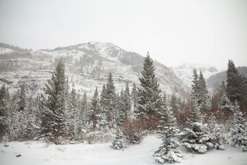 Snow covered mountains