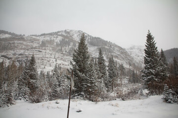 Snow covered mountains