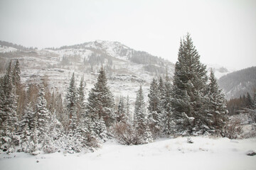 Snow covered mountains