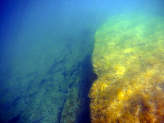 Fototapeta na wymiar Underwater landscape in the sea. Caspian Sea.