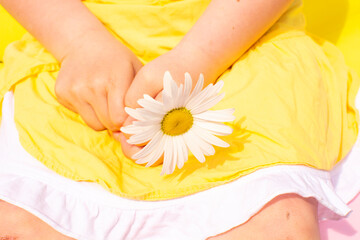 a little girl in a yellow dress holds a chamomile