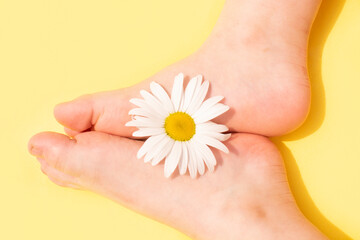 Chamomole flower and baby feet on yellow background. Cleanliness and freshness