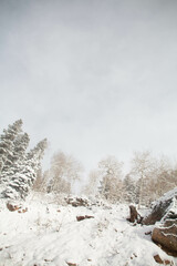 Snow covered mountains
