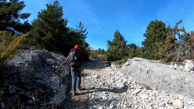 Back of a young caucasian woman hiking a stony path with hand sticks in Devoluy, french alps. Tracking video