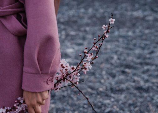Woman in pink coat with blossom cheery flower twig