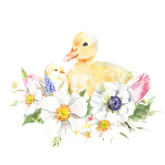 Watercolor farm animal duck. Single domestic pet isolated cute spring flora animal. Nursery woodland illustration. Farmhouse Easter for baby shower invitation, nursery decor, print, greeting card
