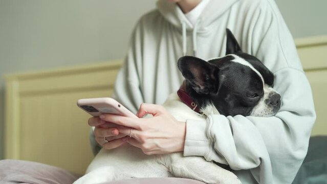 Dog Using Smartphone Dog Using Phone Images – Browse 9,008 Stock Photos, Vectors, and Video ...