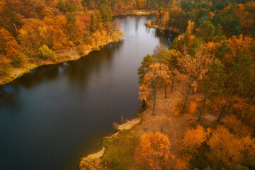 Fototapeta na wymiar Drone view of colorful top of the forest and a lake at Autumn
