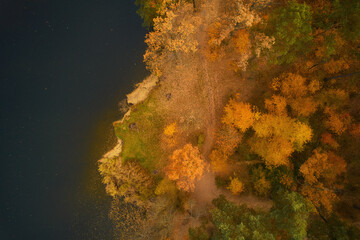 Drone view of the river flowing in autumn forest