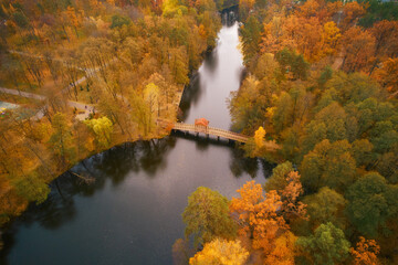 Aerial view of the autumn park and lake with a small wooden bridge for walking.