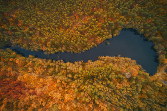 Drone view of the river flowing in autumn forest