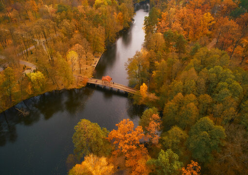 Aerial view of the autumn park and lake with a small wooden bridge for walking.