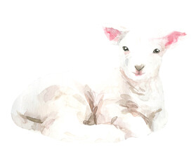 Watercolor farm animals together. Lamb domestic pet isolated cute spring flora animal. Nursery woodland illustration. Farmhouse Easter for baby shower invitation, nursery decor, print, greeting card